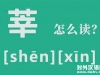 莘莘学子的读音shenshen还是xinxin？